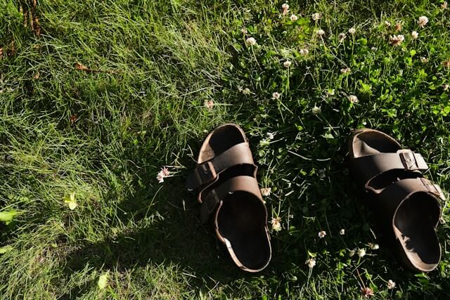 A Pair of Birkenstocks